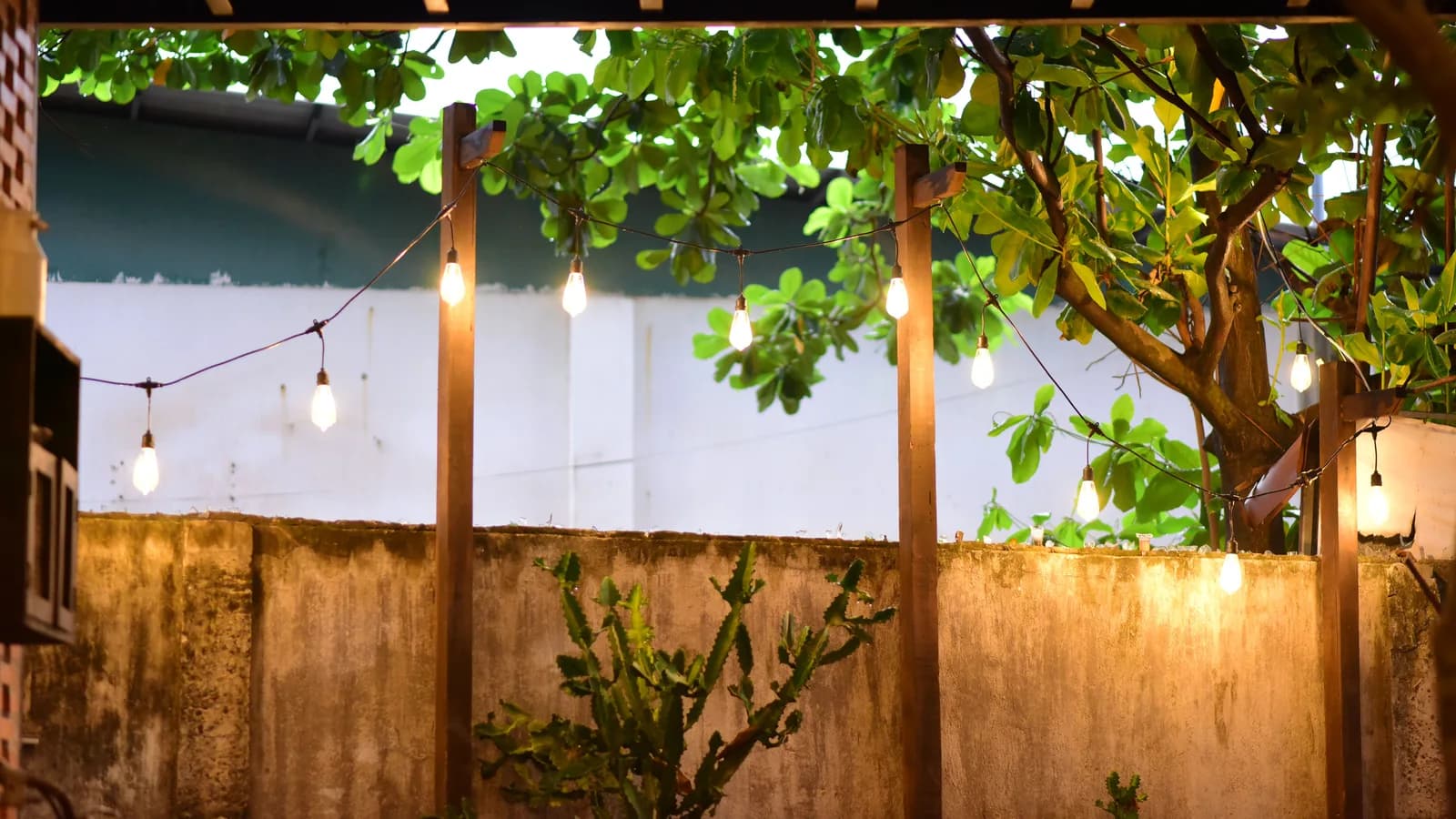 Warm string lights illuminate a backyard with lush foliage, creating a cozy outdoor ambiance.