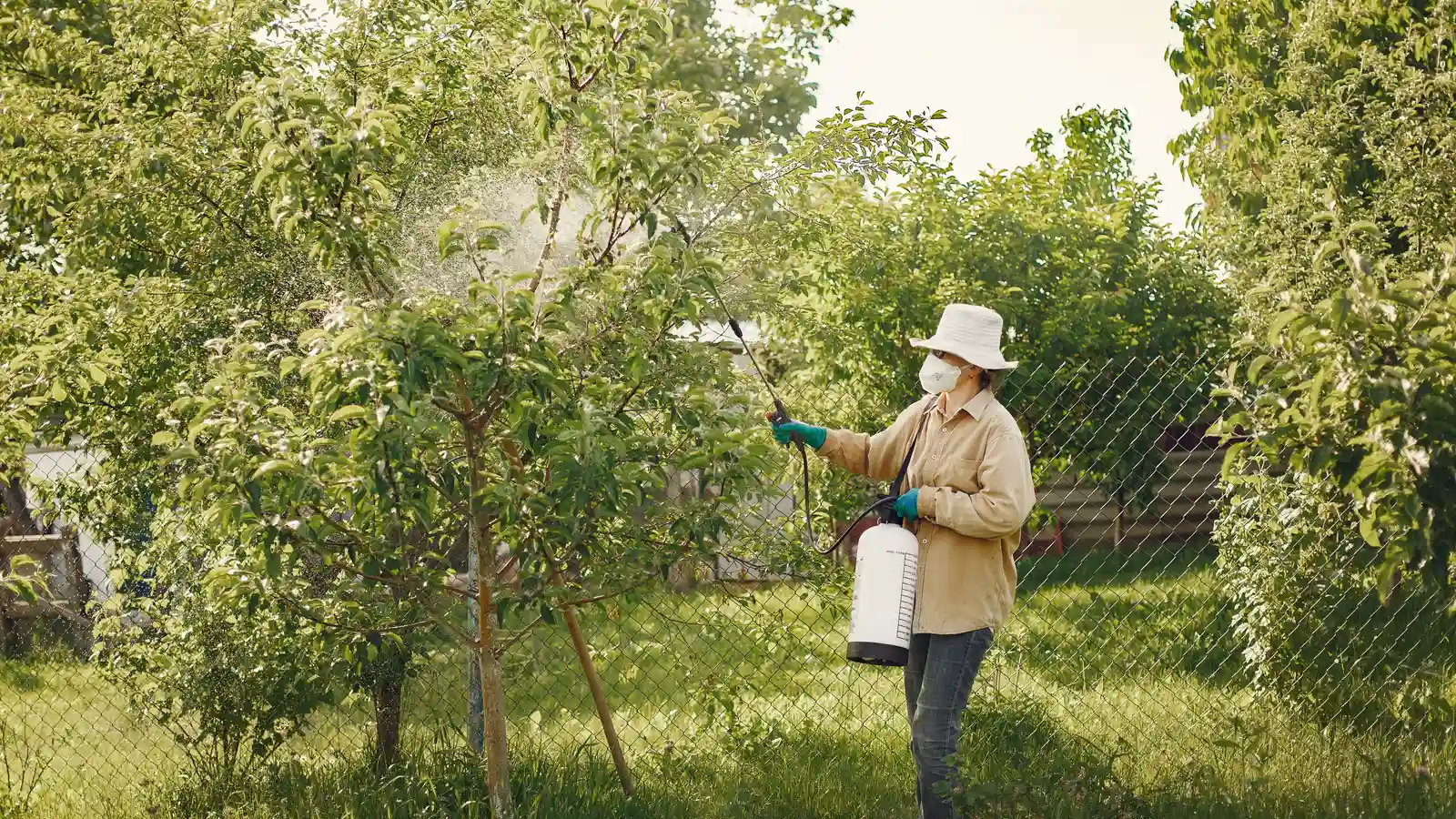 Woman in protective gear spraying pesticides on garden trees with a spray bottle.