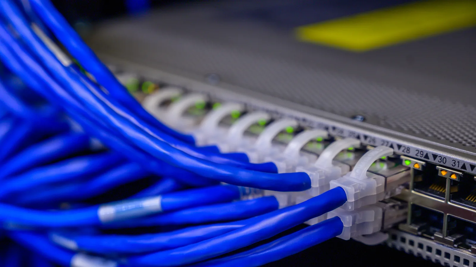 Detailed view of blue ethernet cables connected to a network switch in a data center.