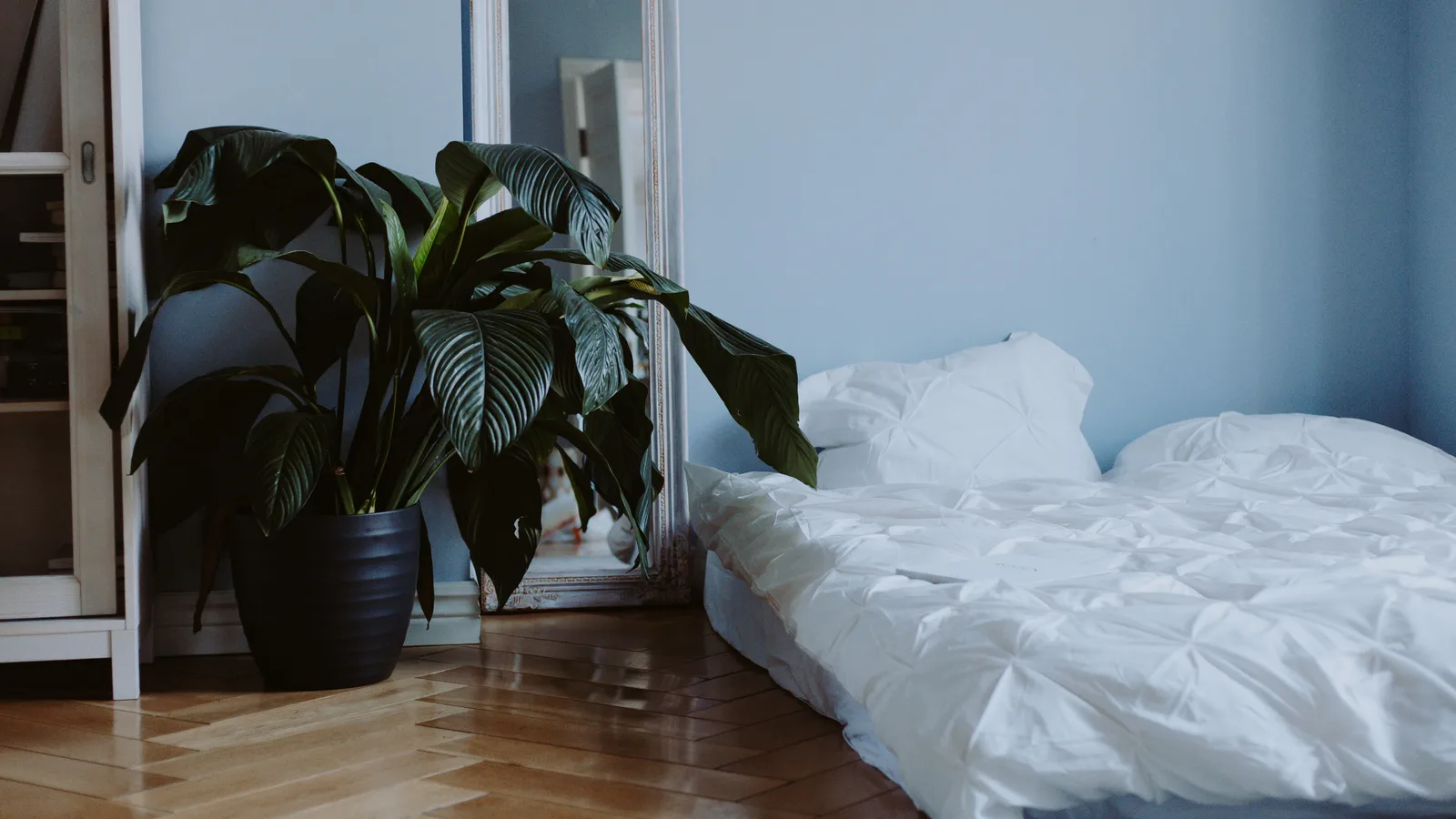 Minimalist bedroom featuring a large potted plant, white bedding, and a full-length mirror.