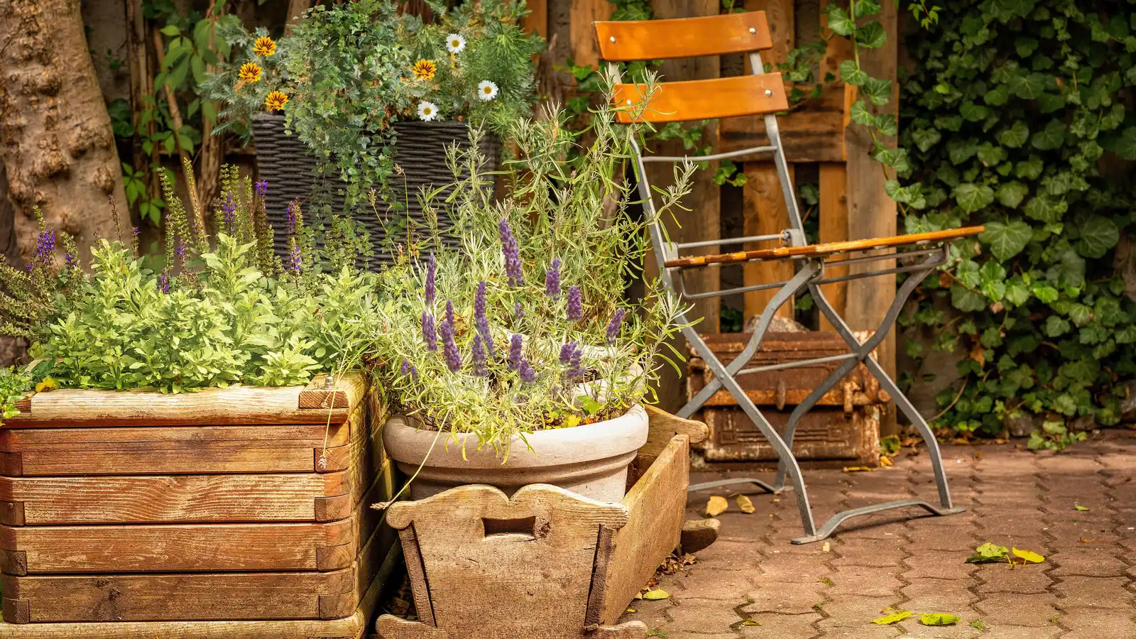 A compact garden patio with grouped planters and one folding chair