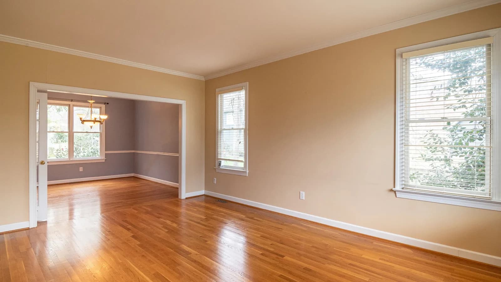 Bright empty room with wooden floors and large windows, ideal for real estate listings.