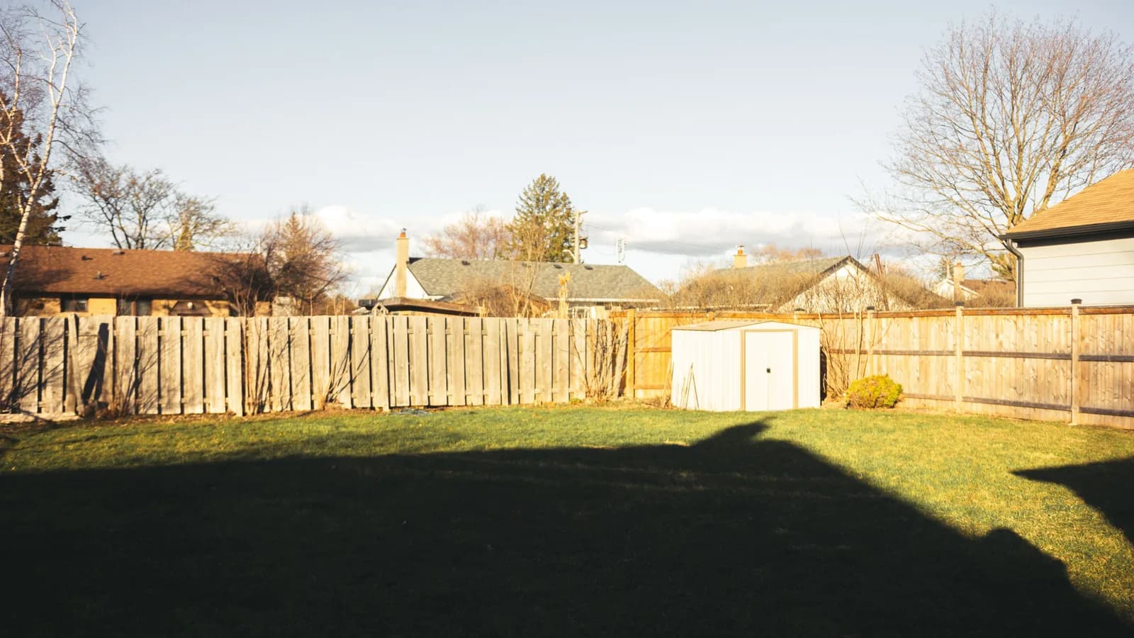 Residential backyard lawn bordered by a wooden fence with a small shed at the far edge