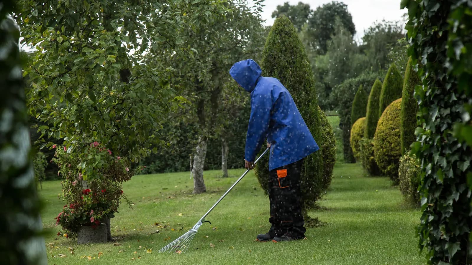 Person raking scattered autumn leaves on a green lawn