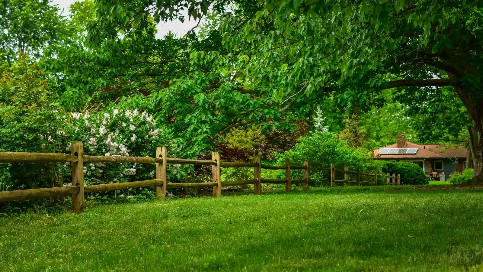 Lush garden with a wooden fence, vibrant plants, and a cozy house in the countryside.
