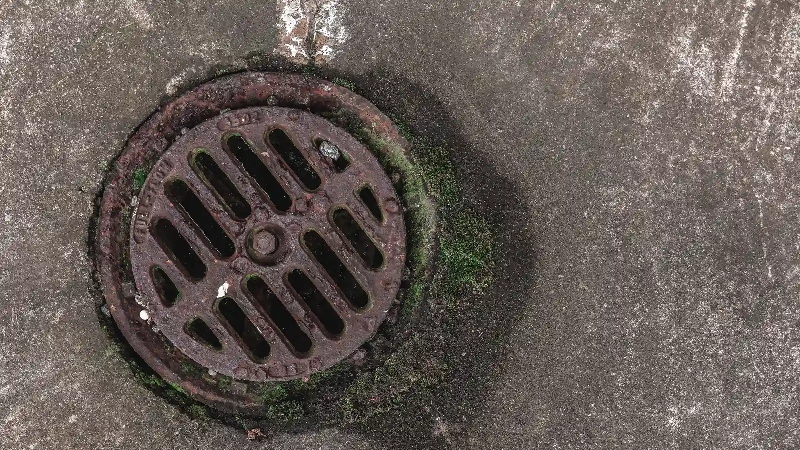 Close-up photo of a rusty drain grate with moss, offering a textured urban look.